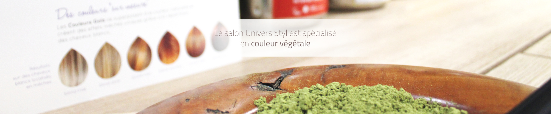 Bannière Salon Univers Styl couleur végétale