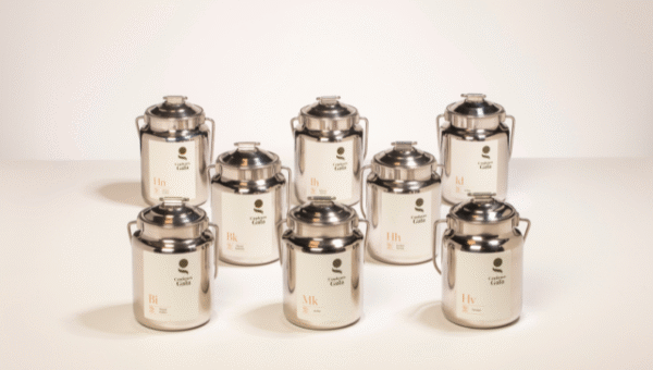 Coloration végétale et cheveux blancs : résultats, limites et bienfaits